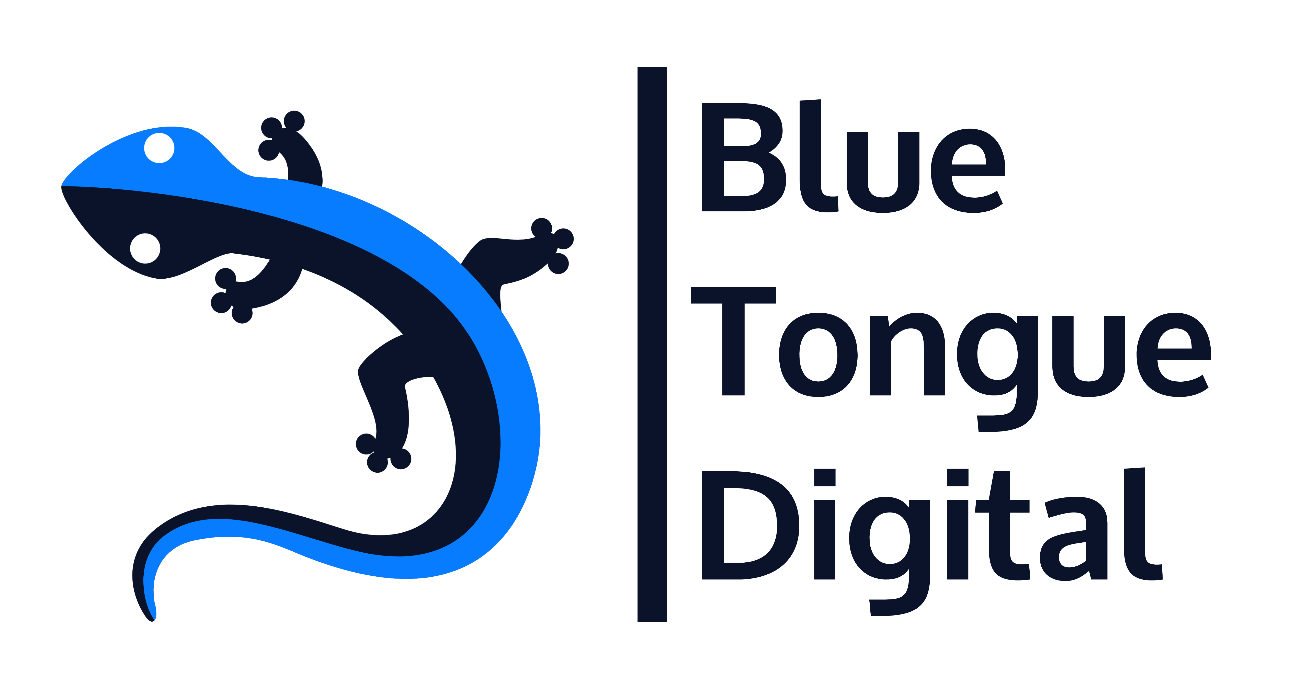 BTD logo full